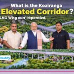 Kaziranga Elevated Corridor