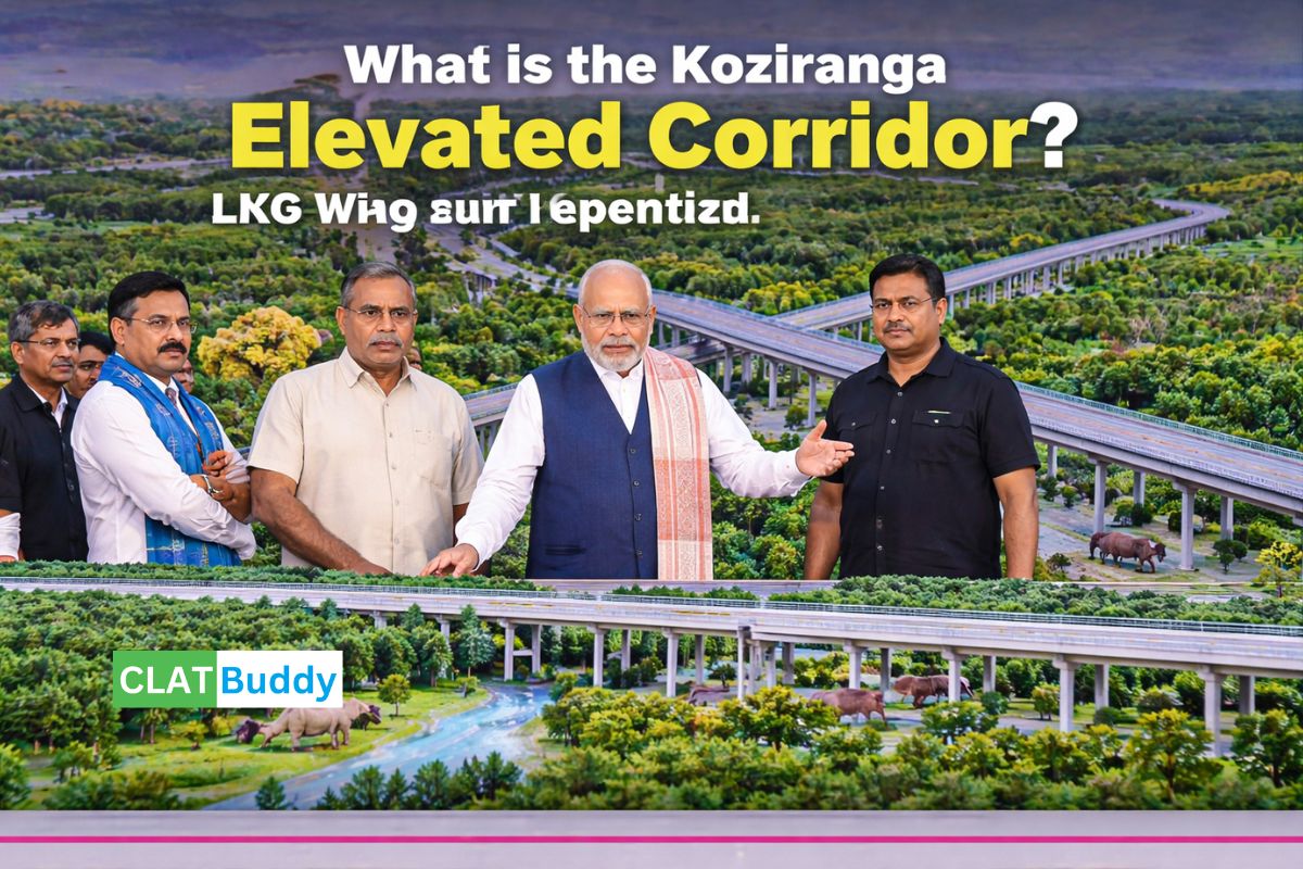Kaziranga Elevated Corridor